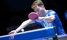 九游VIP-纷纷亮相赛场，球员实力获大众认可的简单介绍