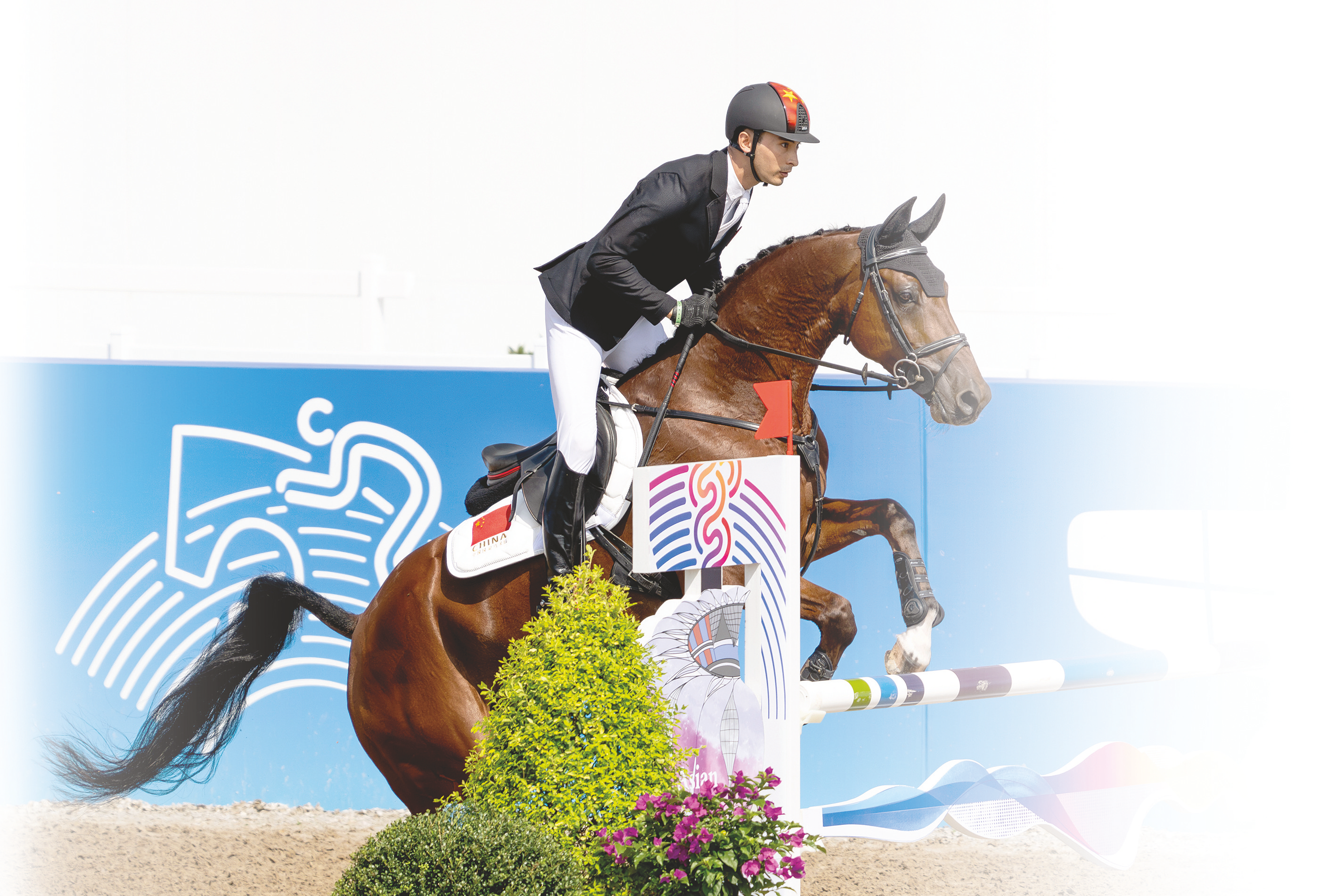 关于马术比赛:德国选手表现出众获得团体冠军的信息 关于马术比赛:德国选手表现出众获得团体冠军的信息