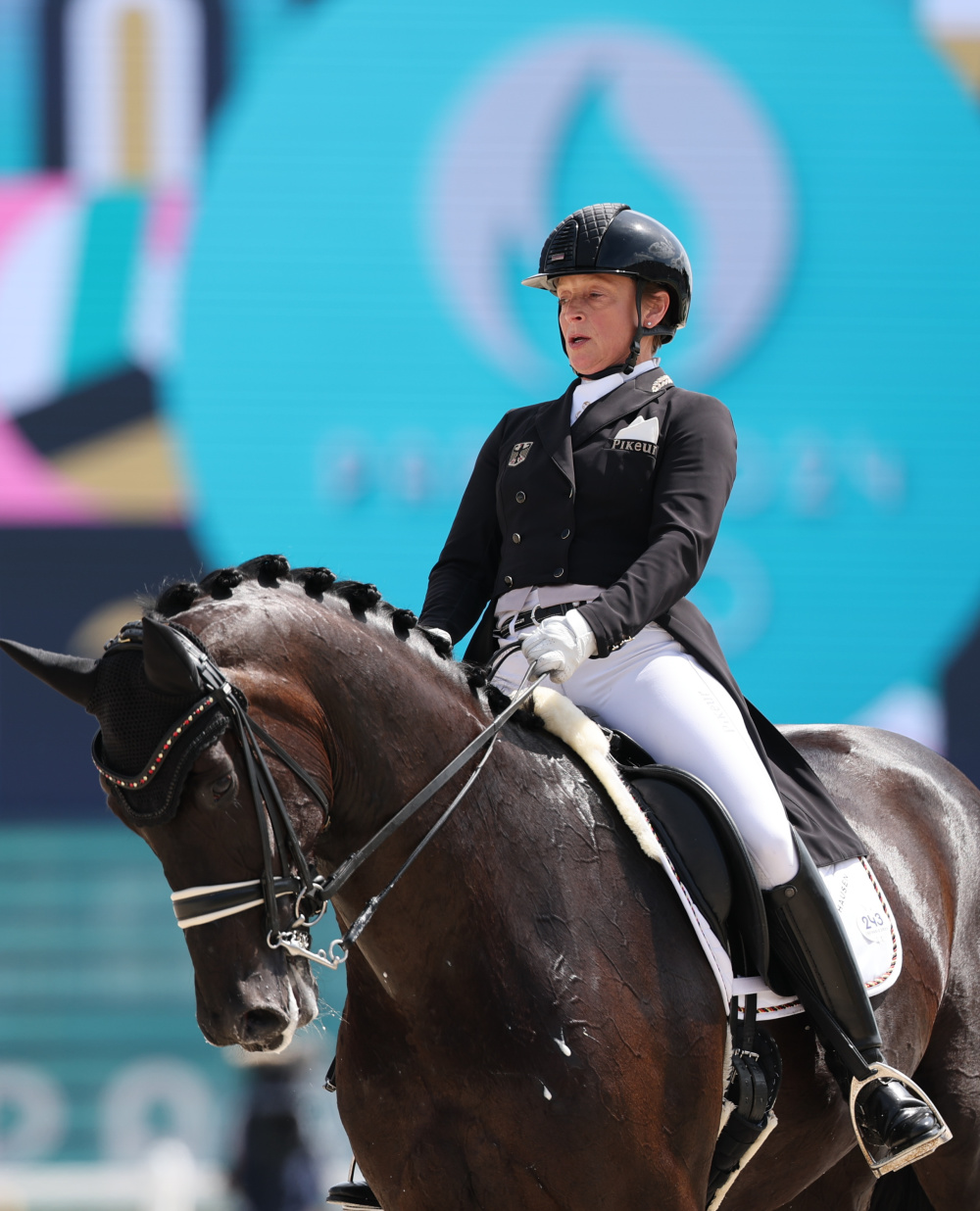 关于马术比赛:德国选手表现出众获得团体冠军的信息 关于马术比赛:德国选手表现出众获得团体冠军的信息