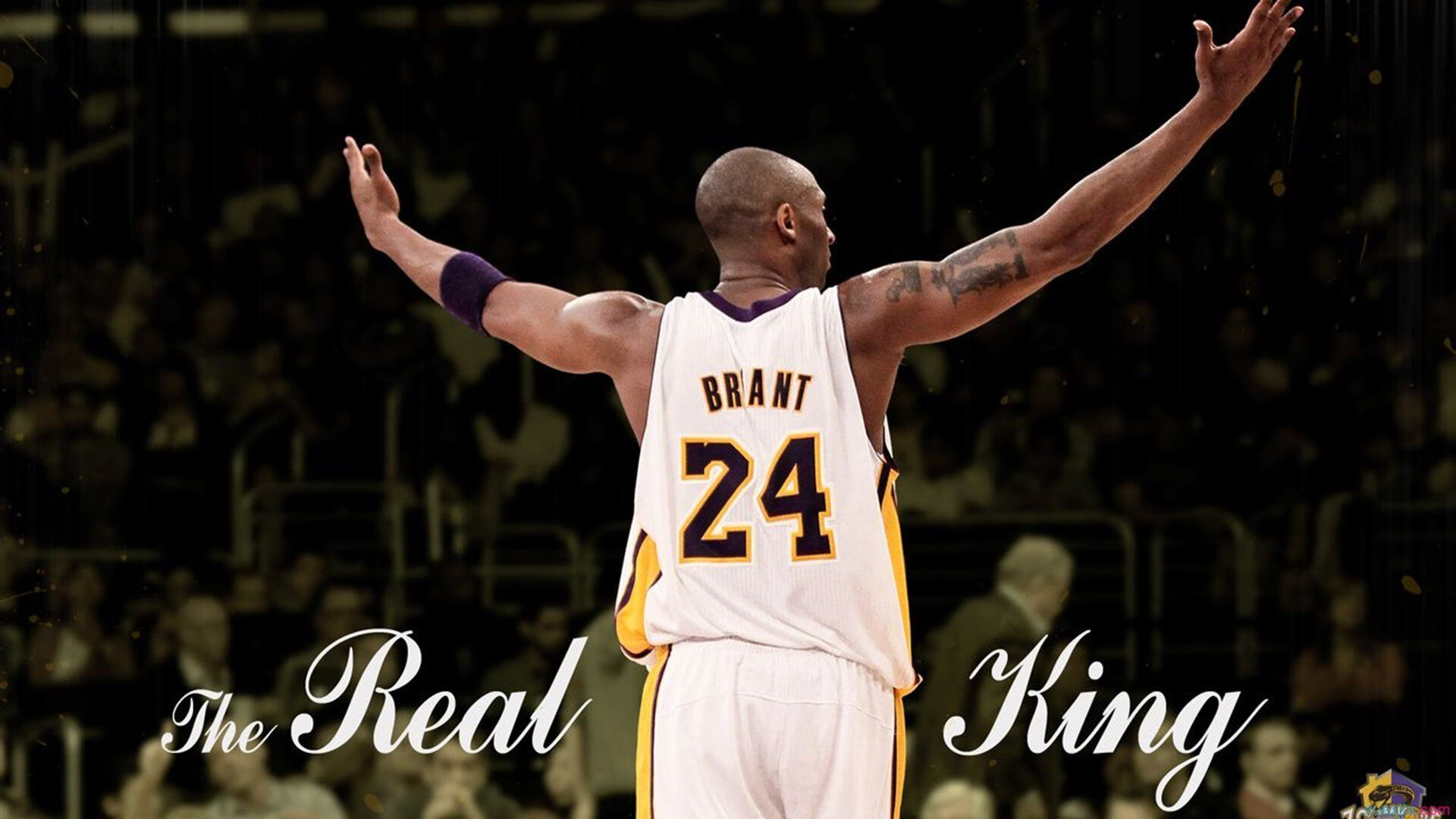 掘金强势晋级映照王朝新篇,詹姆斯世界杯接管书写不老传奇